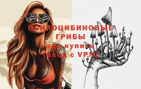 прущие грибы Алексеевка