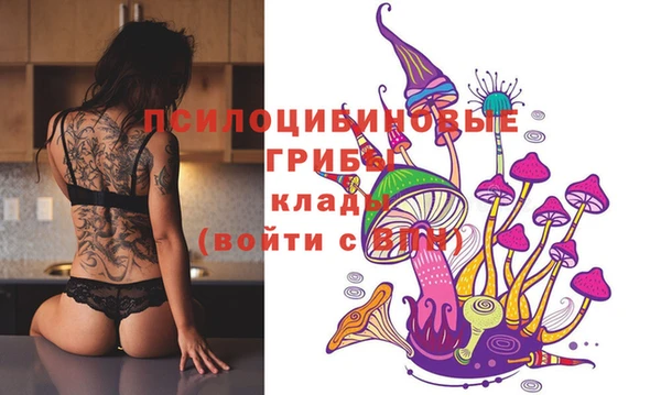прущие грибы Алексеевка
