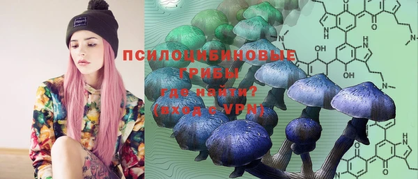прущие грибы Алексеевка