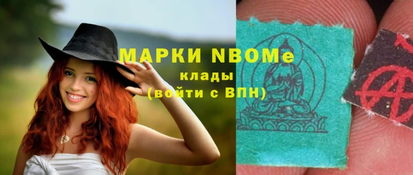 шишки Алзамай