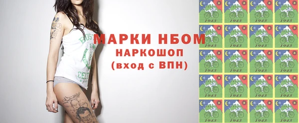 шишки Алзамай