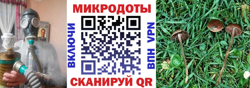 Псилоцибиновые грибы Magic Shrooms  Елец 
